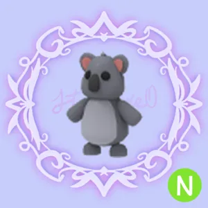N Koala