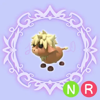 NR Highland Cow