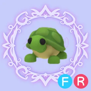 FR Turtle