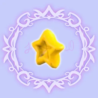 Star Hoodie