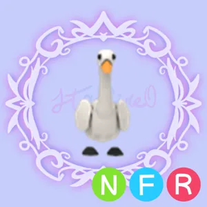 NFR Swan
