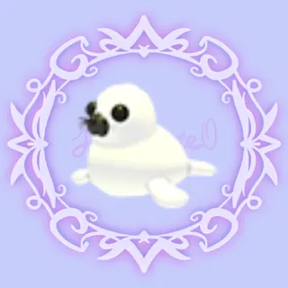 Harp Seal
