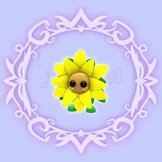 Sunflower Friend
