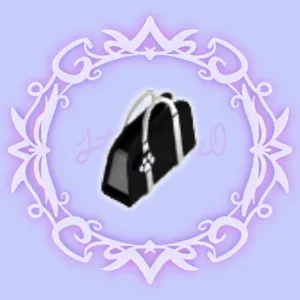 Black Purse