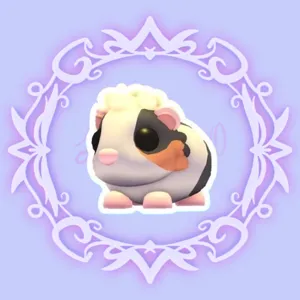 Tortoiseshell Guinea Pig