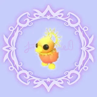 Sunrise Duckling