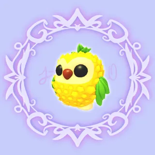Pineapple Owl