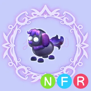 NFR Glormy Hound
