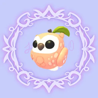 Peach Owl
