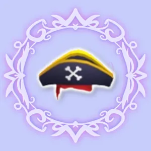 Pirate Hat