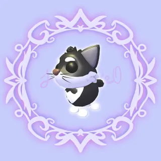 Tuxedo Cat