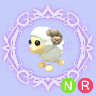 NR Ram