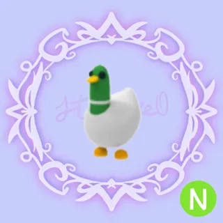N Silly Duck