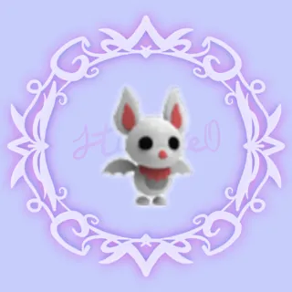 Albino Bat