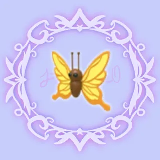 Yellow Butterfly 