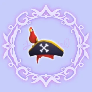 Pirate Hat & Friend