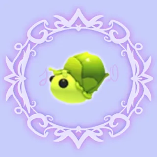 Sprout Snail