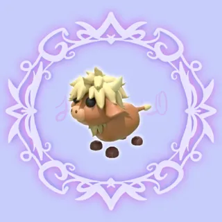 Highland Cow