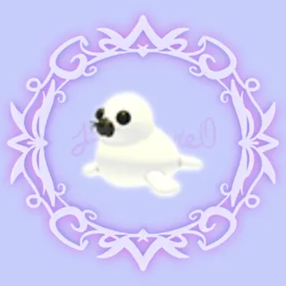 Harp Seal