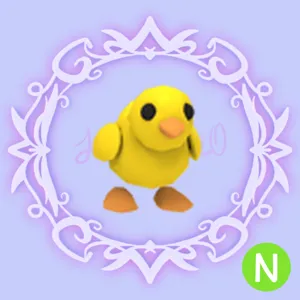 N Chick