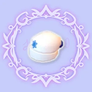 White Winter Hat