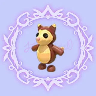 Tree Kangaroo
