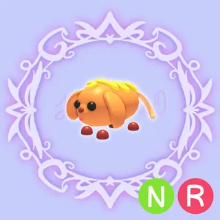 NR Corn Doggo