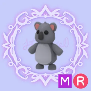 MR Koala