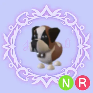 NR St Bernard