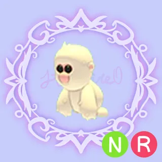 NR Snow Monkey