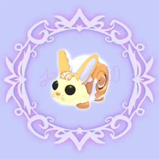 Bunny Swirl