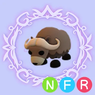 NFR Musk Ox