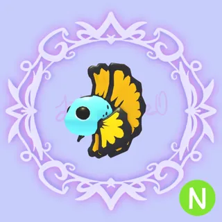 N Blue Betta Fish