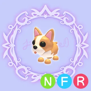 NFR Bulldog