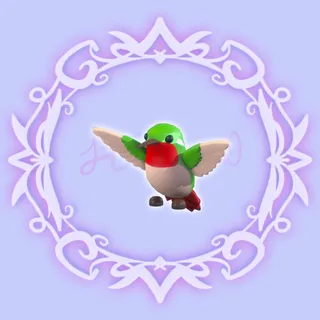 Hummingbird