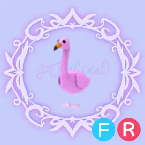 FR Flamingo
