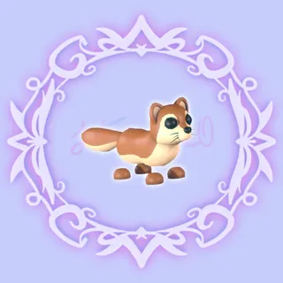 Mongoose