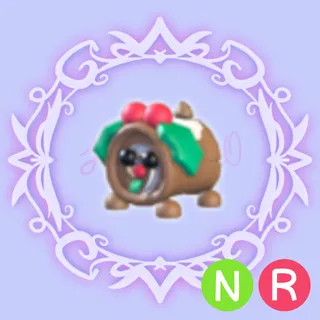 NR Yule Log Dog