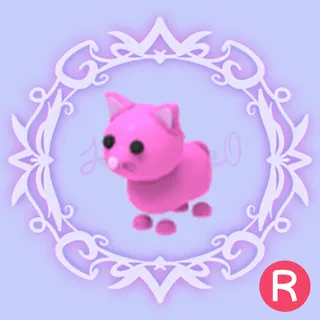 R Pink Cat - FULL GROWN