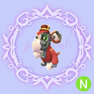N Bolt