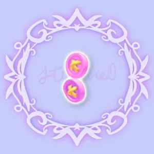 Buttoned Front