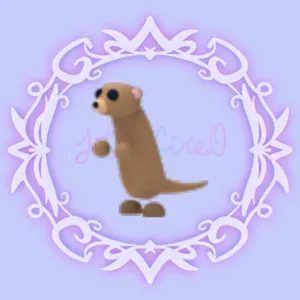 Meerkat
