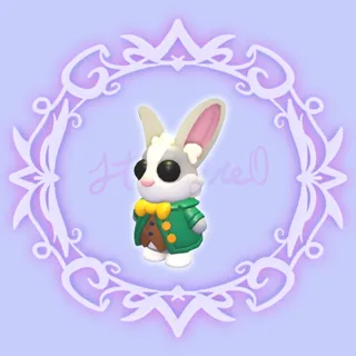 Mr. Whiskerpips