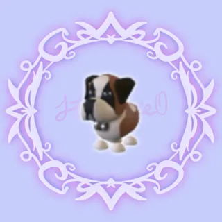 St Bernard