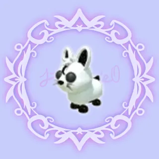 Moon Rabbit