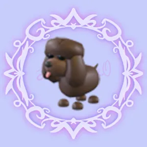 Irish Water Spaniel