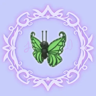 Green Butterfly 