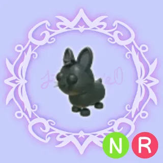 NR Amami Rabbit