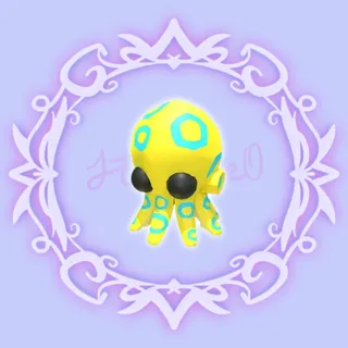 Blue Ringed Octopus 