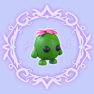 Cactus Friend